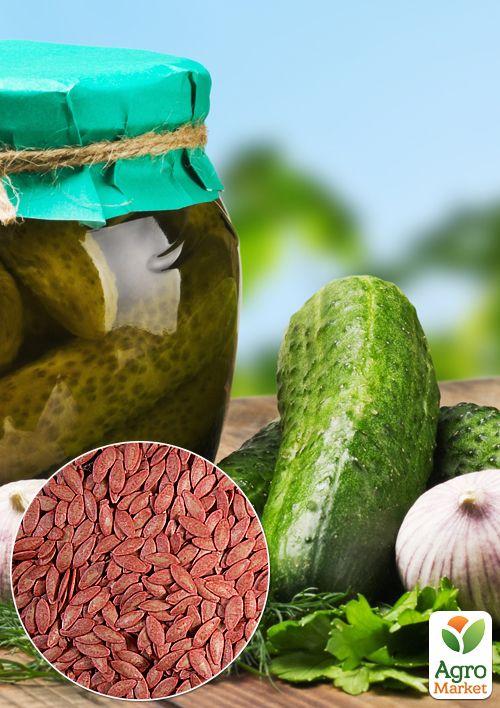 На развес Огурец "Деревенский разносол" ТМ "Весна" цена за 1г