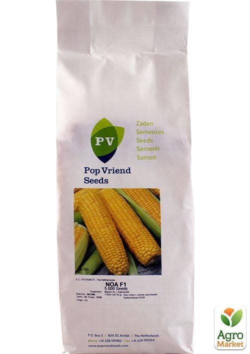 Кукуруза "NOA F1" ТМ "Pop Vriend Seeds" 5000шт