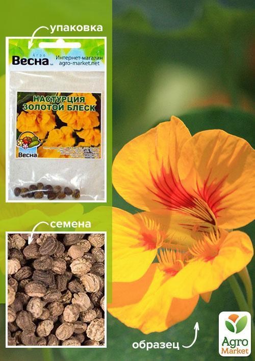 Настурція "Золотий блиск" (Зипер) ТМ "Весна" 2г