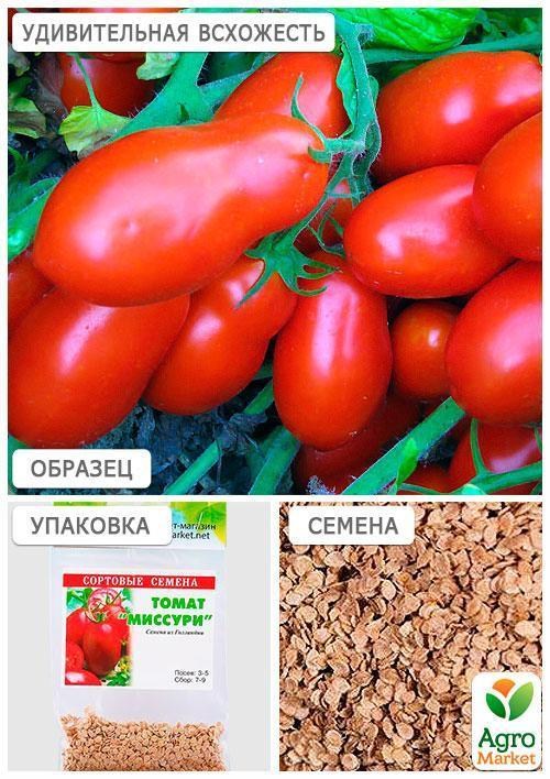 Томат "Миссури" (Зипер) ТМ "Весна" 1г - фото 4