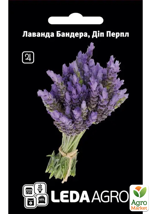 Лаванда Бандера "Дип перпл"  ТМ "Leda Agro" 5шт