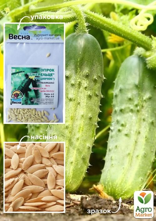 Огурец "Родничок" (Зипер) ТМ "Весна" 1.5г