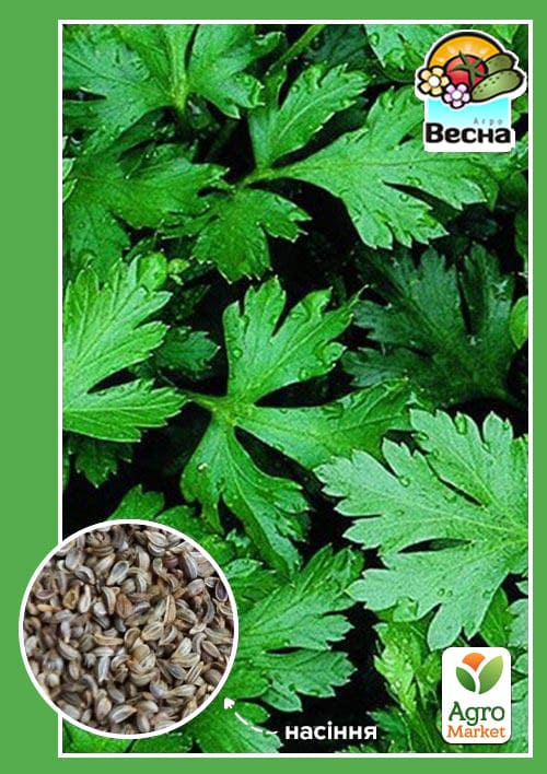 Петрушка "Гігантела" ТМ "Весна" 2г