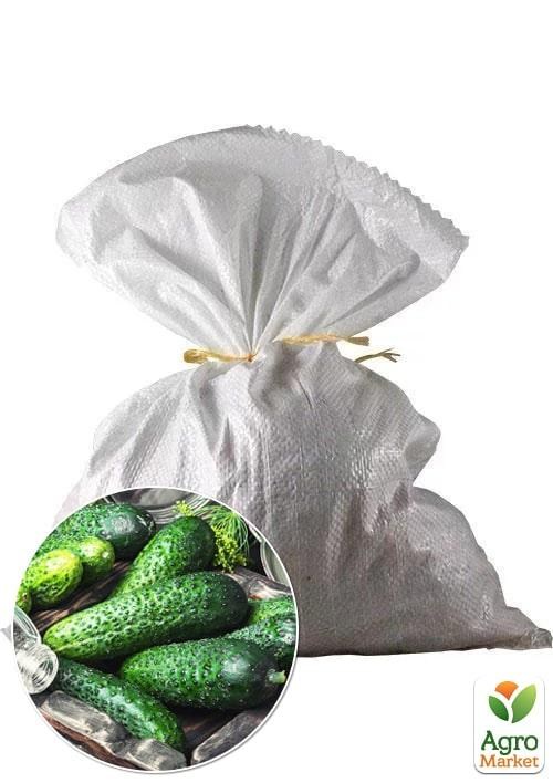 Огурец "Славянский" ТМ Весна 3кг