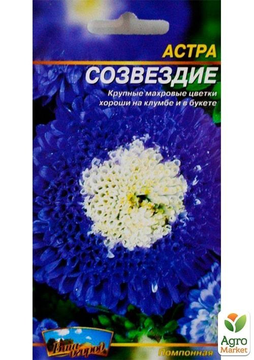 Астра "Созвездие" ТМ "Весна" 0.2г - фото 2