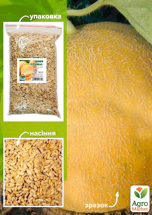 Дыня "Титовка" ТМ "Весна" 500г