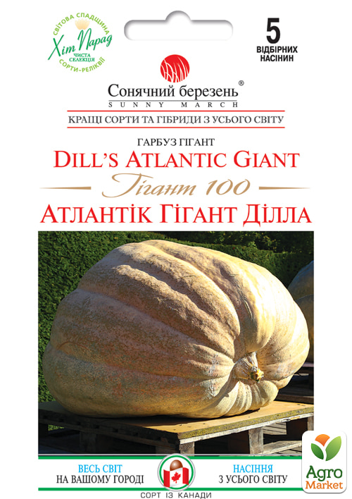 Тыква Атлантик "Гигант 100" ТМ "Солнечный март" 5шт