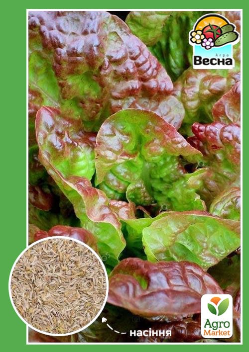 Салат "Червоний вельвет" (Новий пакет) ТМ "Весна" 1.5г