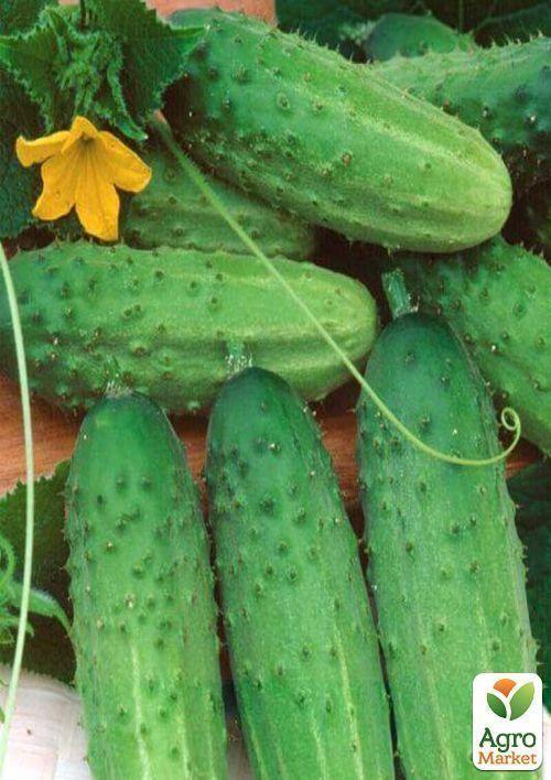 Огірок "Бригадний" (Зипер) ТМ "Весна" 2г - фото 3