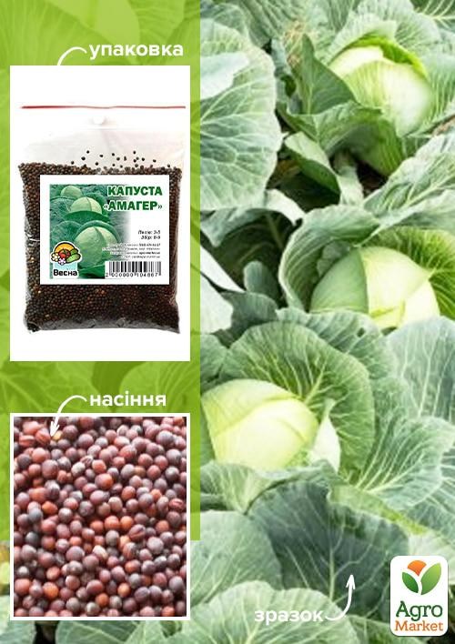 Капуста "Амагер" ТМ "Весна" 100г