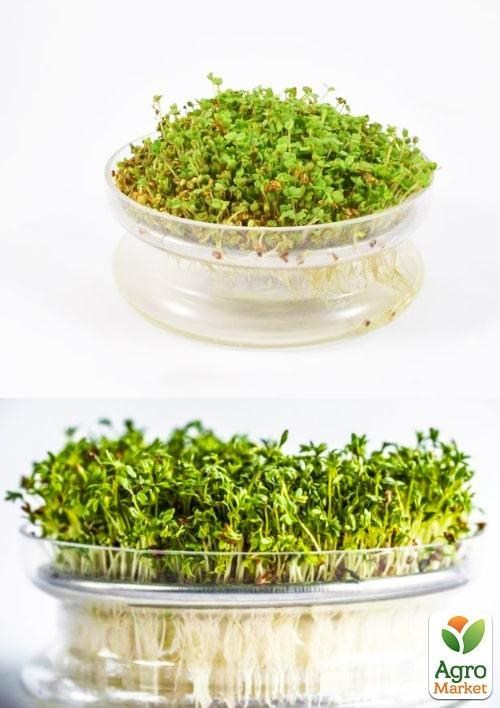 Пророщувач скляний з металевим ситом Semini - фото 2