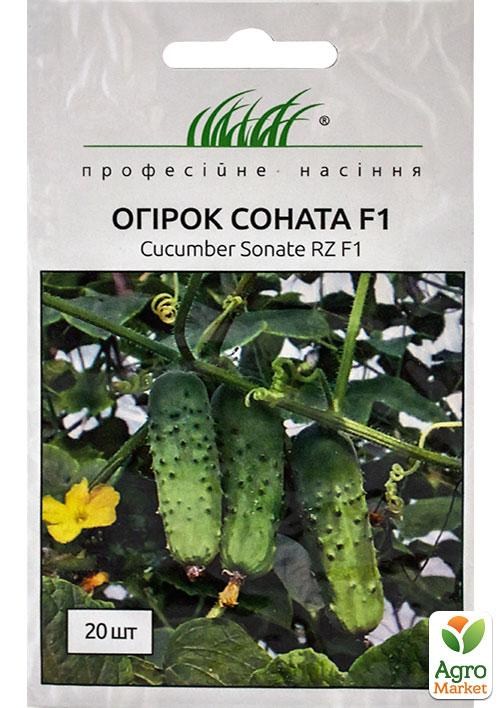 Огірок "Соната" ТМ "Hem Zaden" 20шт