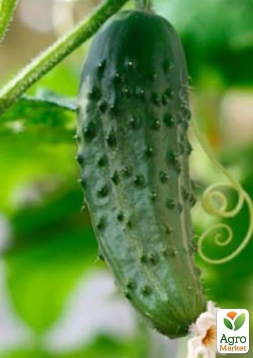 Огірок "Шарж" ТМ "Vesna Select" 1г