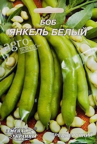Бобы "Янкель белый" ТМ "Семена Украины" 20г