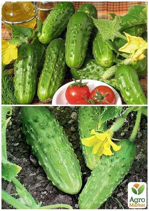 На вагу Огірок "Бригадний" ТМ "Весна" ціна за 2г - фото 4