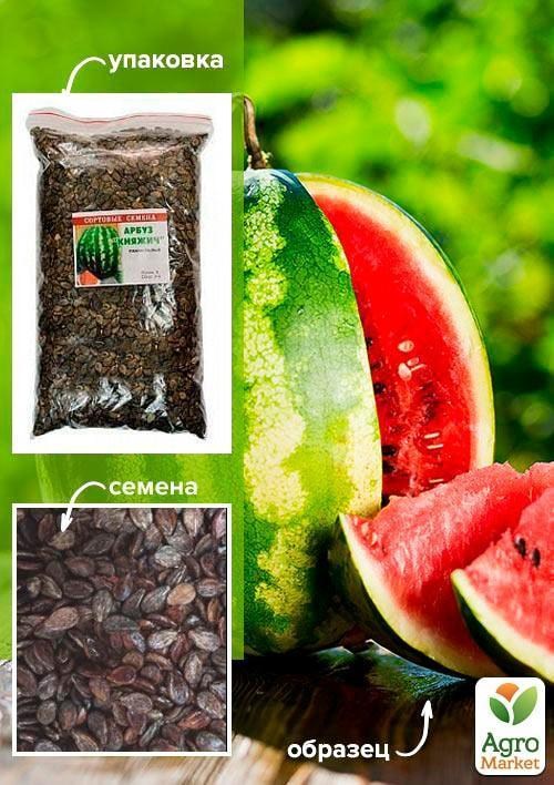 Кавун "Княжич" ТМ "Весна" 500г