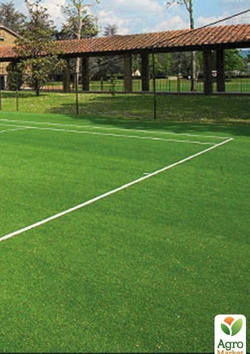 Суміш трав "Спортивно-ігровий газон" ТМ "Green Field" 10кг - фото 2