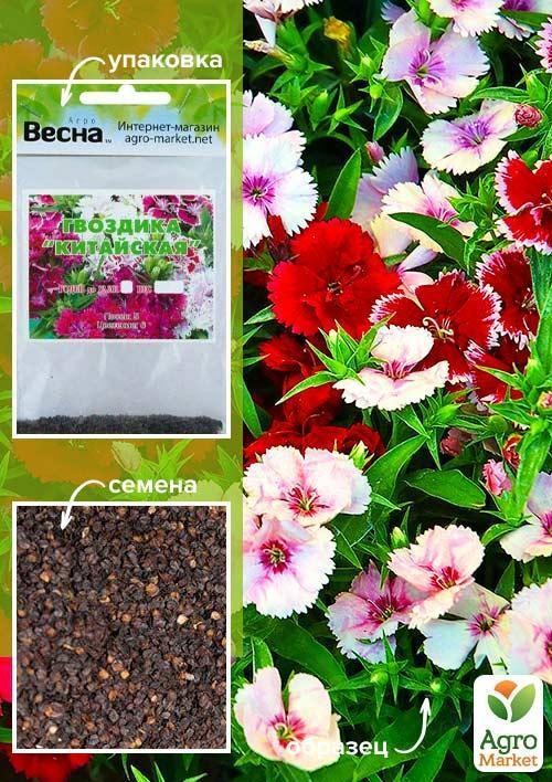 Гвоздика "Китайская" (Зипер) ТМ "Весна" 1г