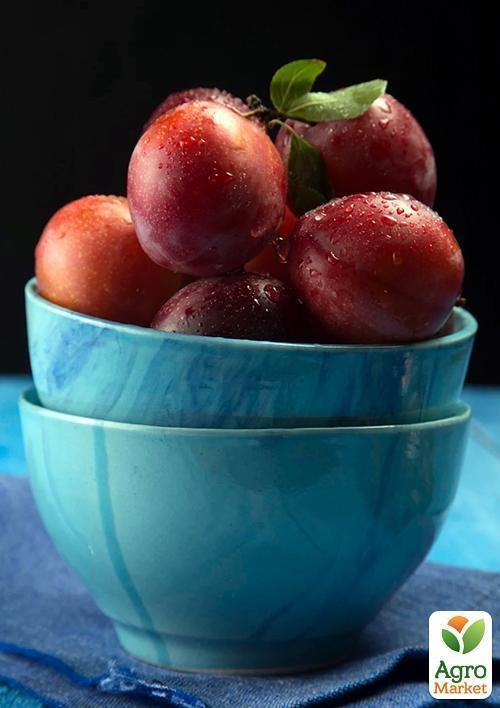 Слива "Персиковая" - фото 3