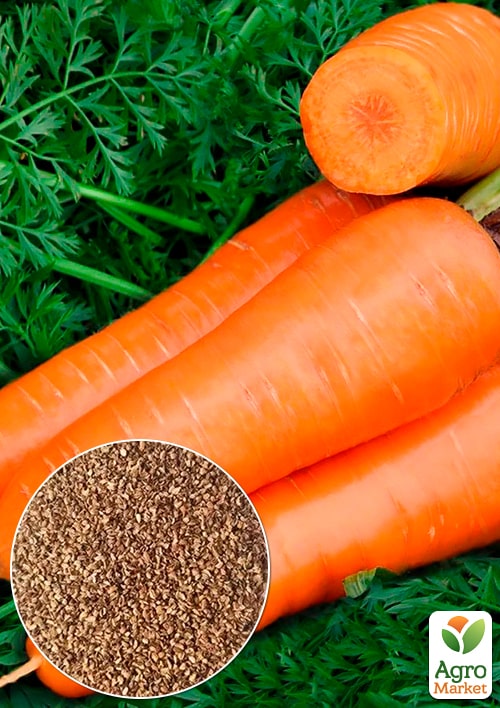 Морковь "Катрин" (Зипер) ТМ "Весна" 5г