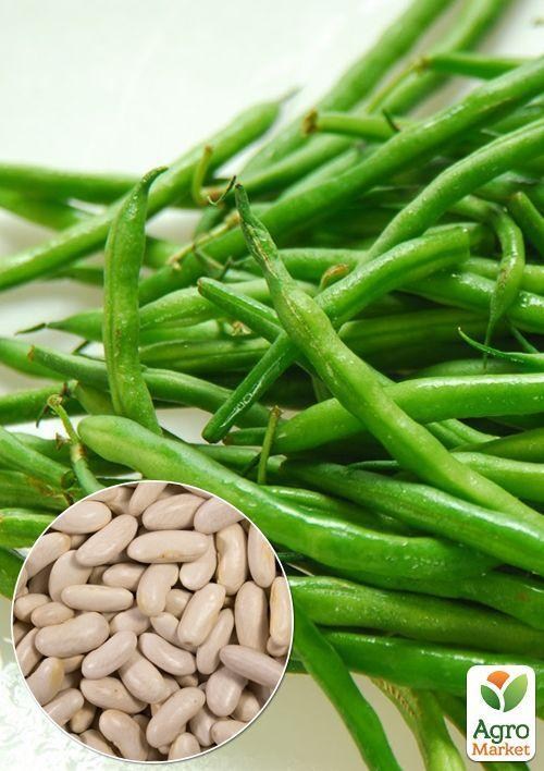 На вагу Квасоля "Спаржева зелена" ТМ "Весна" ціна за 15г