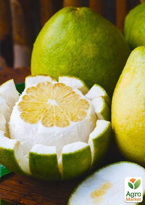 Помело "Khao Horn" (сладкий, премиальный сорт)