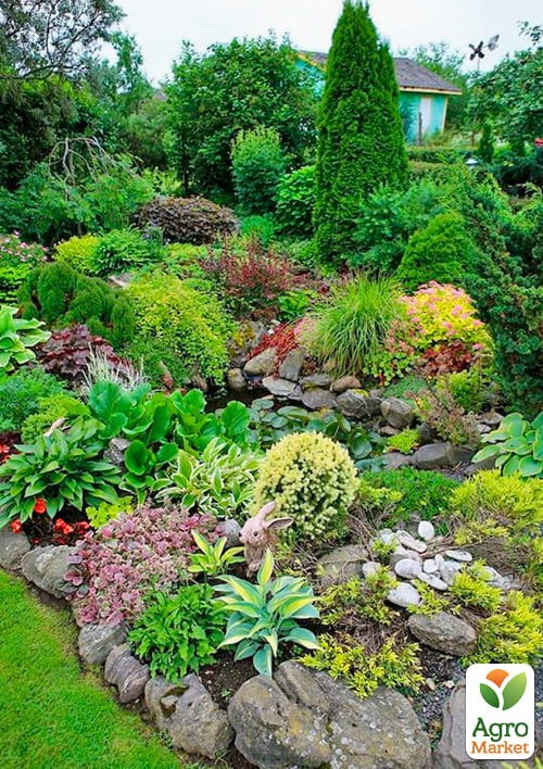 Комплект растений "Альпийская горка 2" (Alpine slide) - фото 2