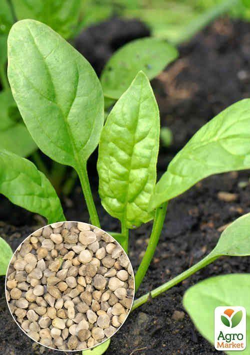 На развес Шпинат "Исполин" ТМ "Весна" цена за 7г