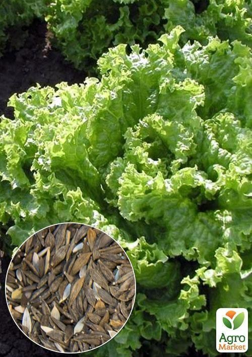 На вагу Салат "Сніжинка" ТМ "Весна" ціна за 5г