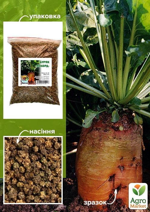 Буряк Кормовий "Рекорд" ТМ "Весна" 500г