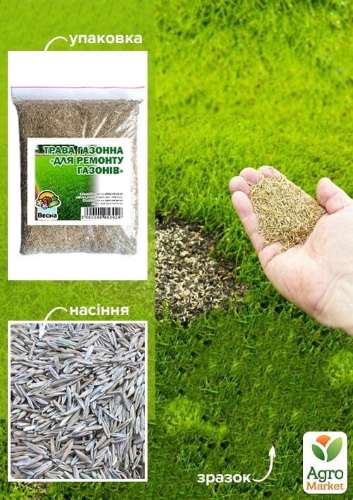 Трава газонна "Для ремонту газонів" ТМ "Весна" 500г