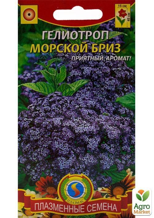 Гелиотроп "Морской бриз" ТМ "Плазменные семена"0,2г