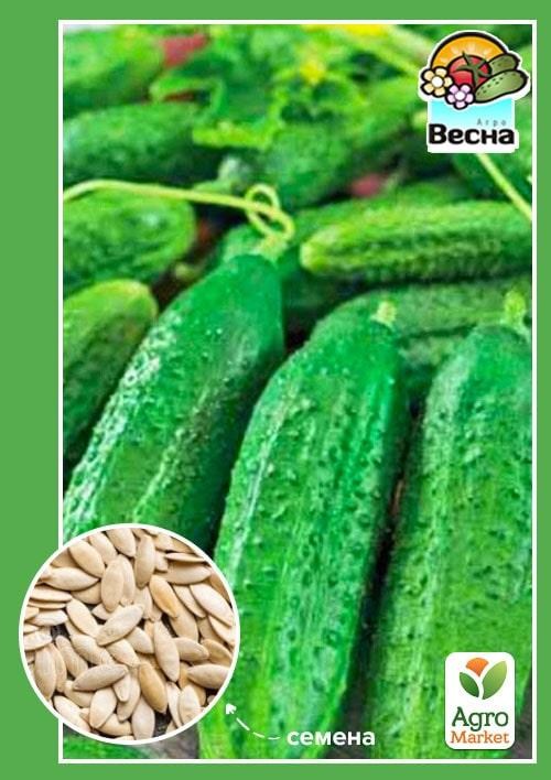 Огурец "Заморский деликатес" (Новый пакет) ТМ "Весна" 0.2г