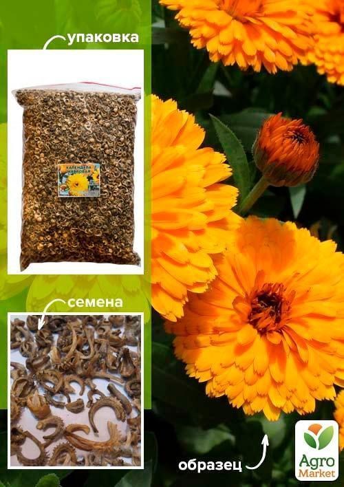 Календула "Махровая" ТМ "Весна" 500г