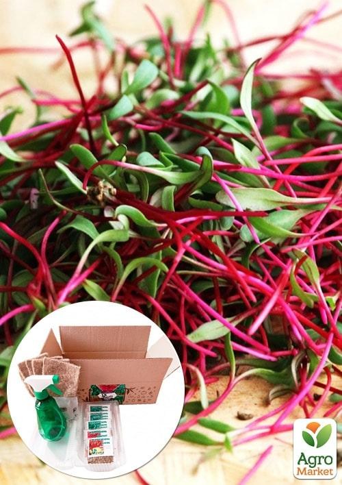 Набор для проращивания микрозелени "Яркая грядка"