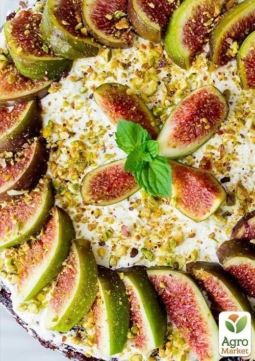 Інжир "Кримський 44" з плодом (вік 1,5 року) - фото 2