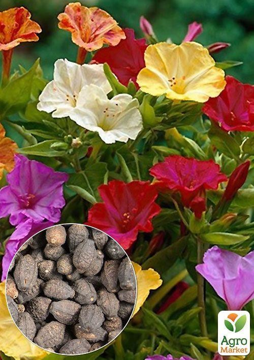 На вагу Мірабіліс суміш ТМ "Весна" ціна за 3г