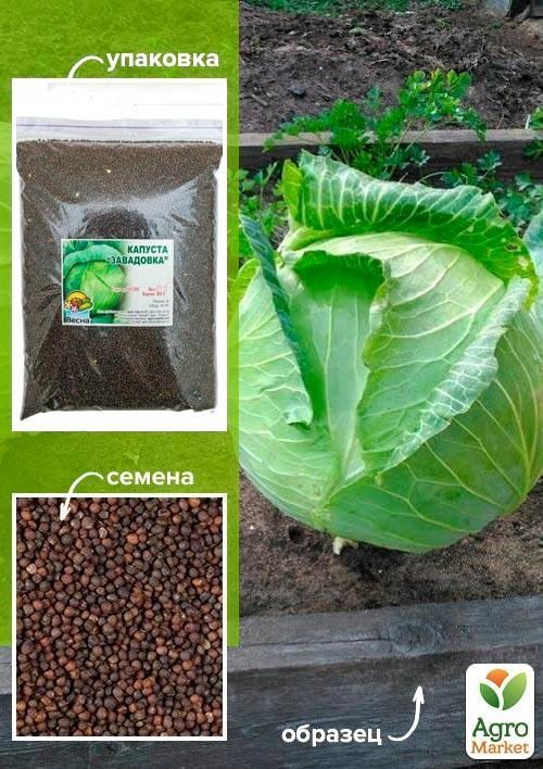 Капуста "Завадовка" ТМ "Весна" 500г