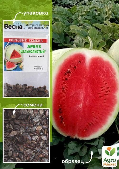 Арбуз "Цельнолистный" (Зипер) ТМ "Весна" 4г