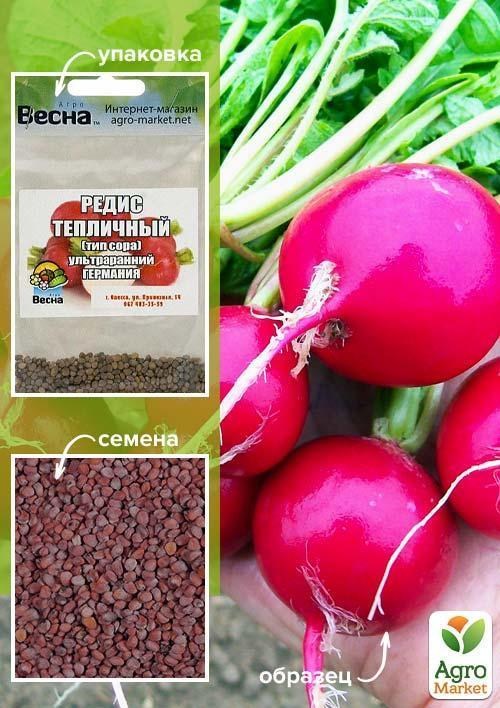 Редис "Тепличний" (Зипер) ТМ "Весна" 7г