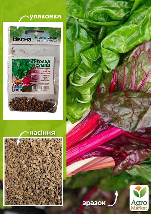 Мангольд смесь (Зипер) ТМ "Весна" 3г