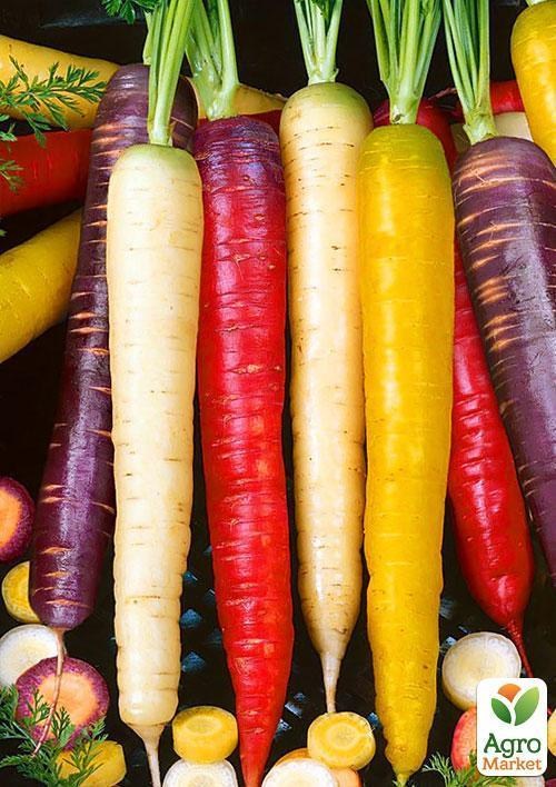 Морква "Веселка" ТМ "Vesna Exclusive" 40шт - фото 3