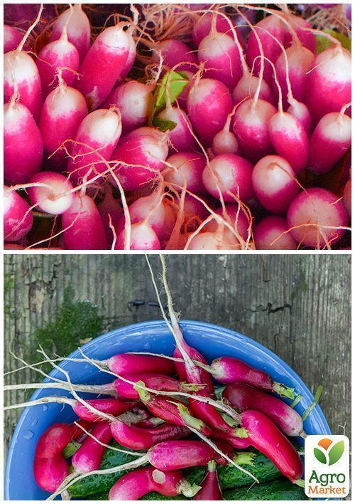 На развес Редис "Мила" ТМ "Весна" цена за 10г - фото 3
