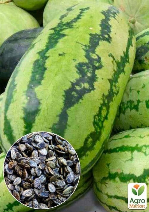 На развес Арбуз "Юбилейный" ТМ "Весна" цена за 6г