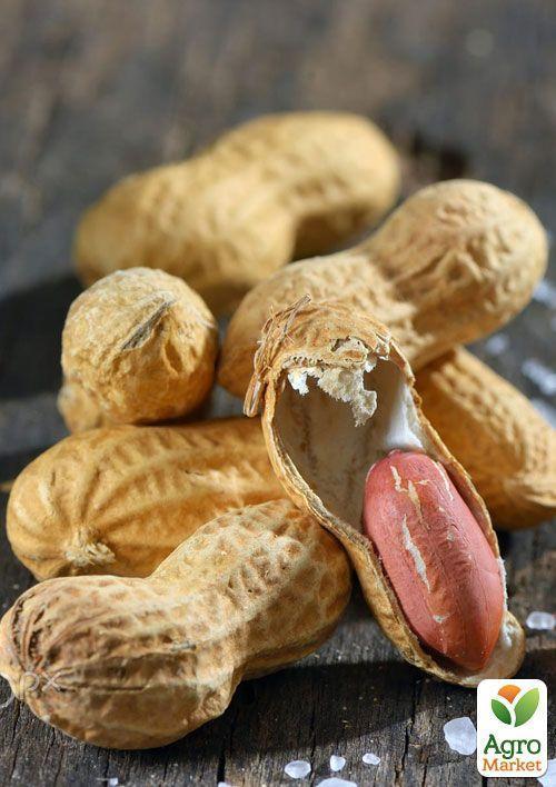 Арахіс "Валенсія Українська" ТМ "Vesna Select" 10шт - фото 5