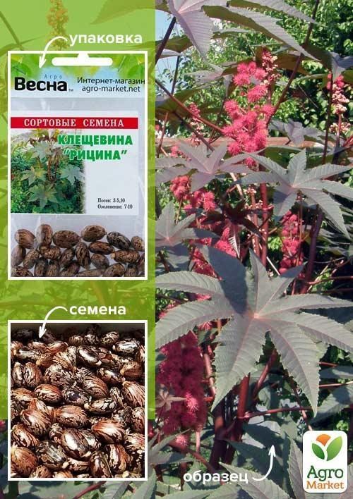 Клещевина "Рицина" (Зипер) ТМ "Весна" 7шт
