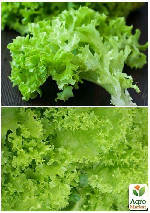 На вагу Салат "Латук" ТМ "Весна" ціна за 8г - фото 4