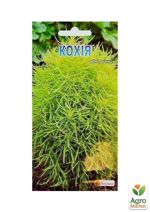 Кохия ТМ "Яскрава" 0.5г