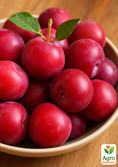 Гибрид сливы-абрикоса "Кинг-Конг" (средний срок созревания) - фото 2