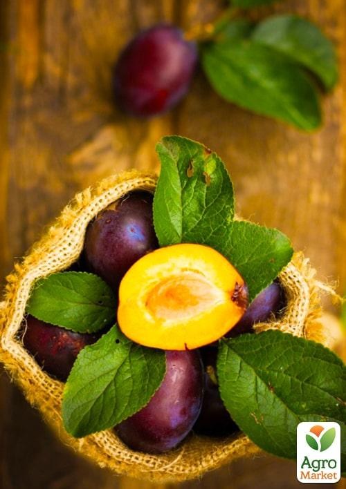Уценка!!! Слива в ассортименте